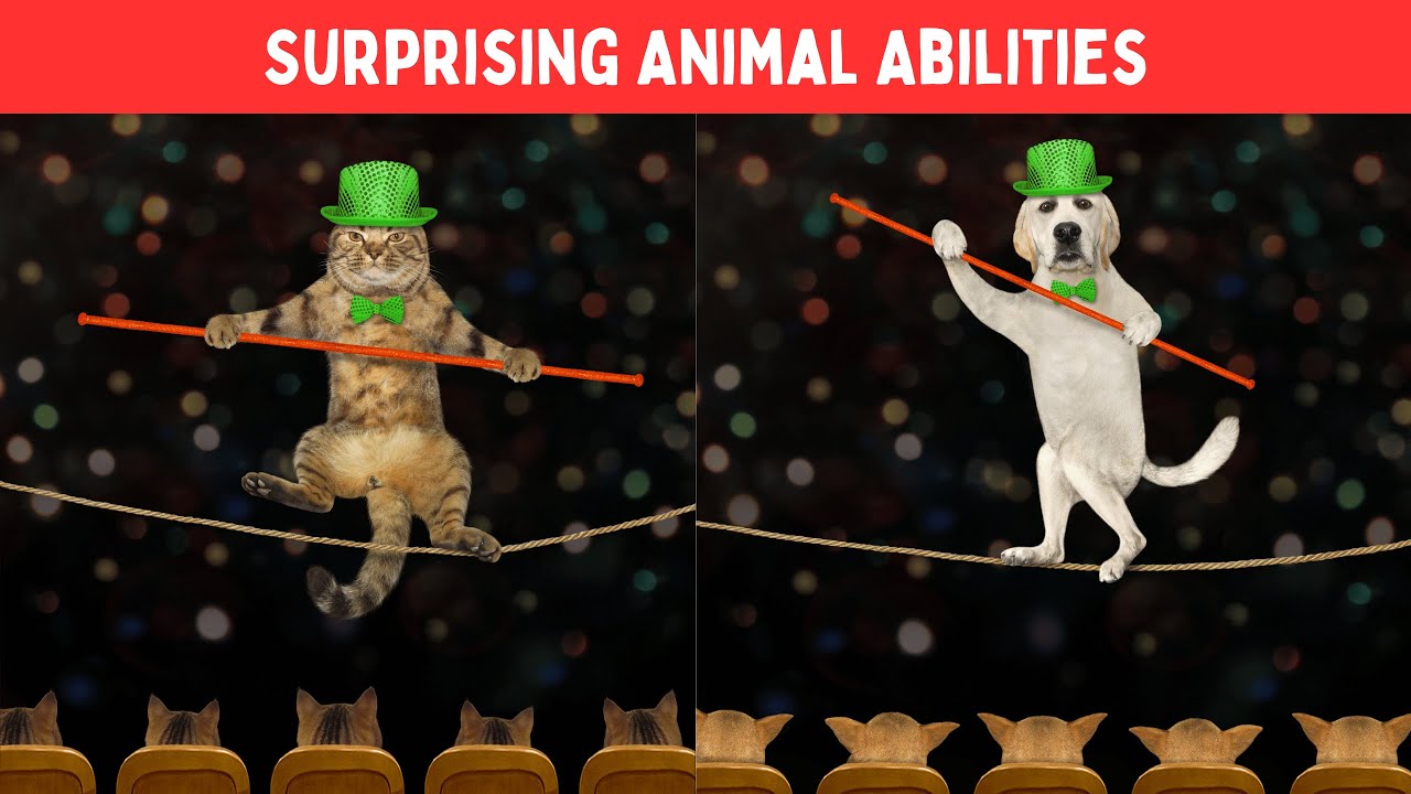 10 Surprising Animal Abilities You Didn't Know About
