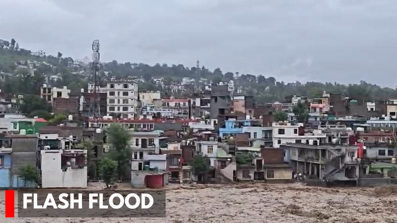Rajouri Flash Floods: Woman Missing, Vehicles Swept Away as Heavy Rains Wreak Havoc