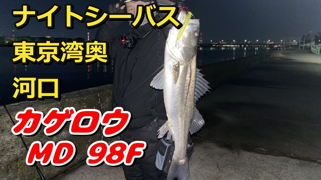 【東京湾奥　3連戦】水面でカゲロウに炸裂する冬シーバス