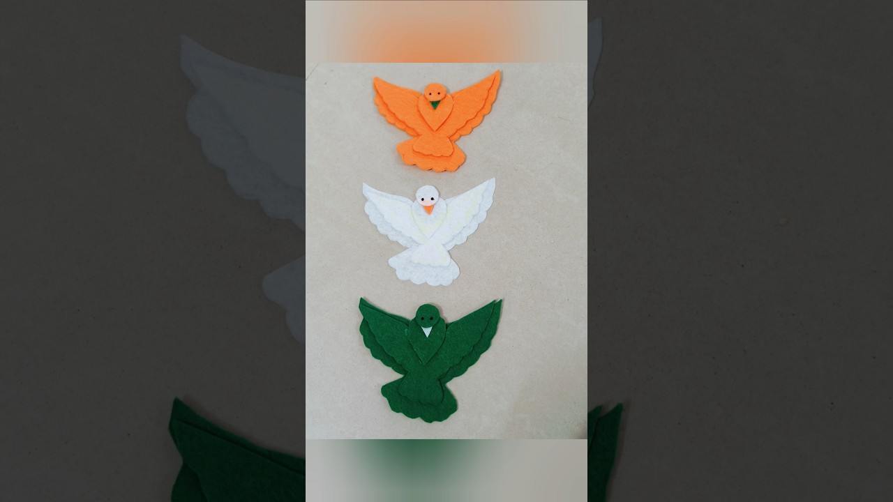 Diy tricolour birds..🕊️ diy prop/fancy dress/republic day/independence day 