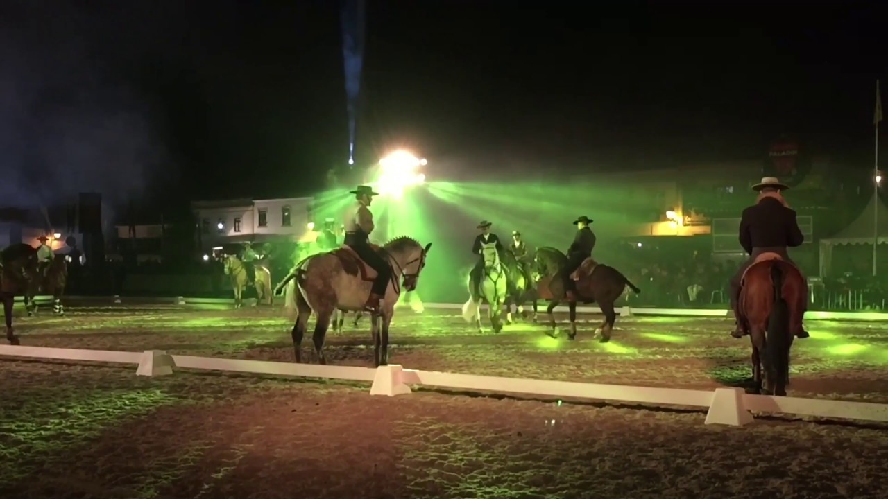 Espetáculo Equestre, Golegã - Cidade Europeia do Cavalo 2016