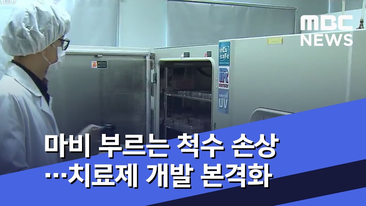 마비 부르는 척수 손상&hellip;치료제 개발 본격화 (2019.11.29/뉴스투데이/MBC)