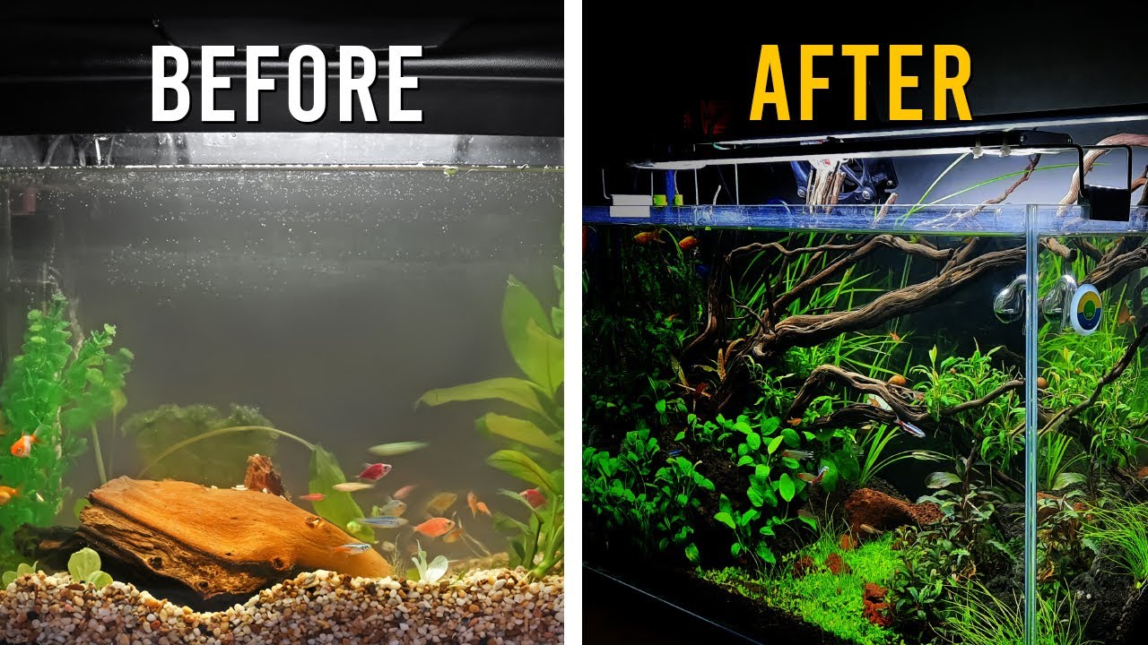 9 SIMPLE Aquascaping Techniques For Your First Planted Aquarium