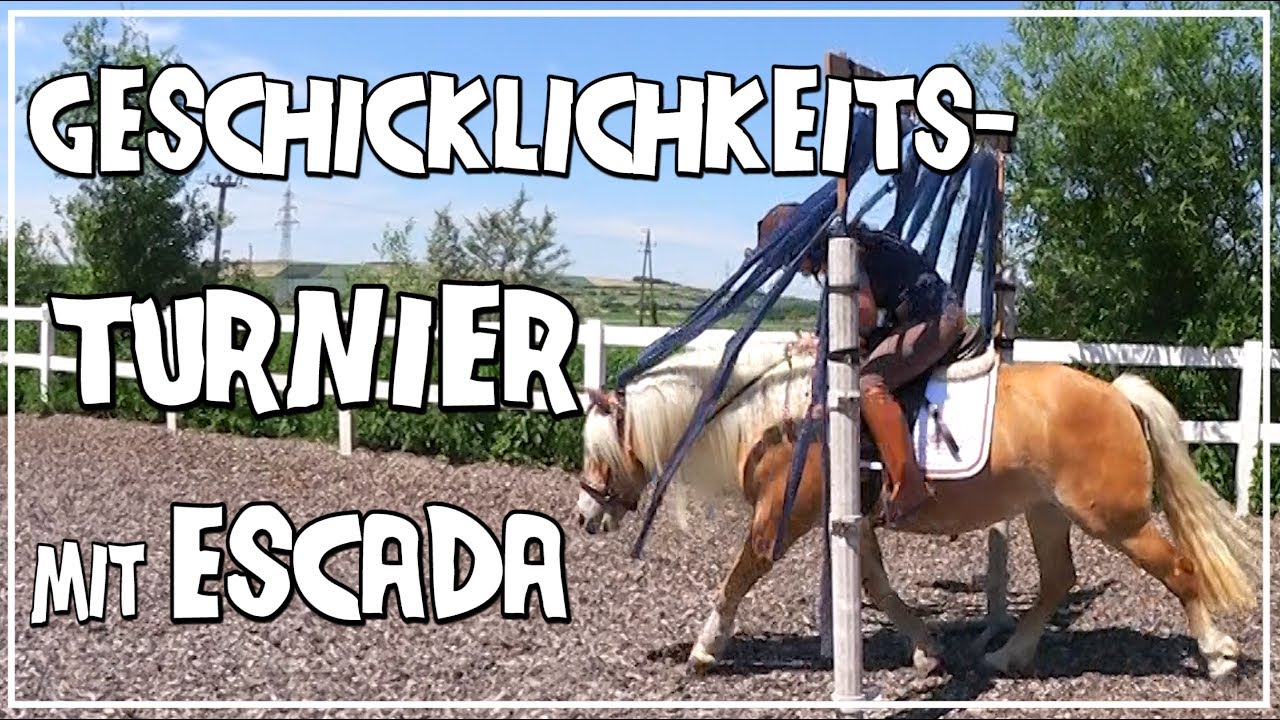 Geschicklichkeitsturnier mit Escada  ♥