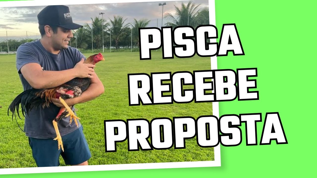 PISCA RECEBE PROPOSTA ABSURDA EM SEU GALO CASCAVEL