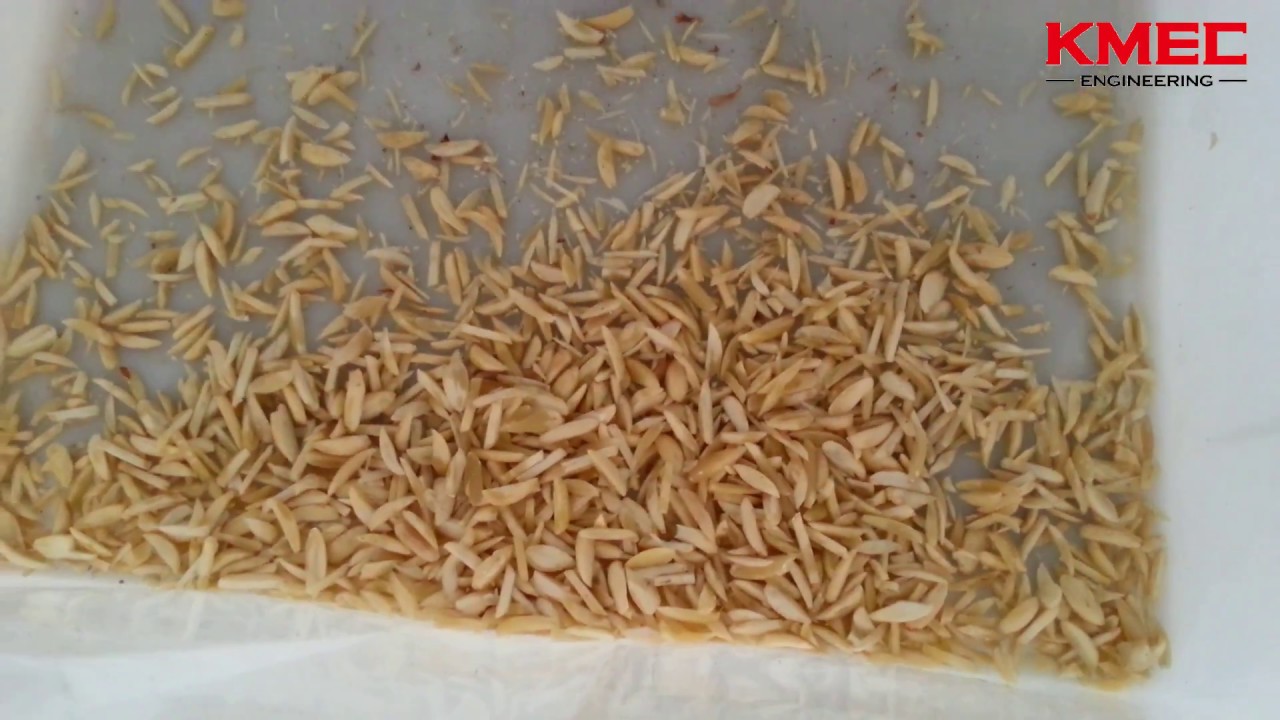 Peanut cutting machine, Peanut strip cutting machine