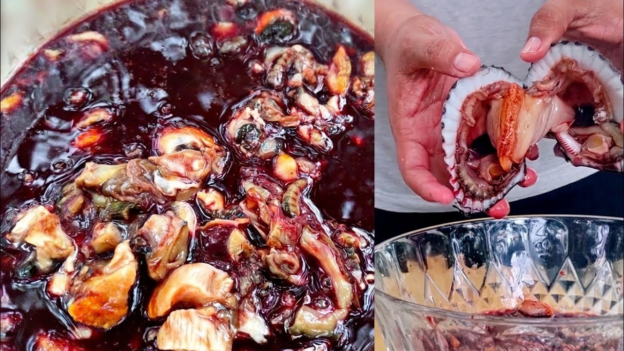 Ceviche de concha pata de mula ecuatoriano 🦪 | Delicia marina que debes probar