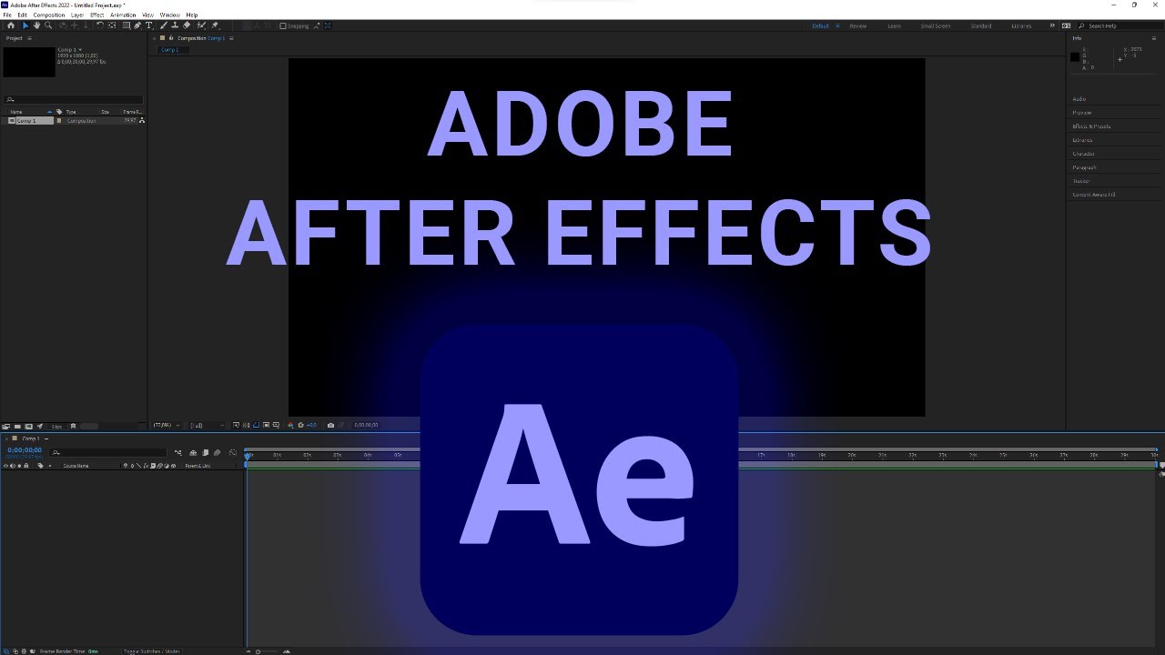 How To Enable/Disable Expression Pick Whip Writes Compact English After Effects
