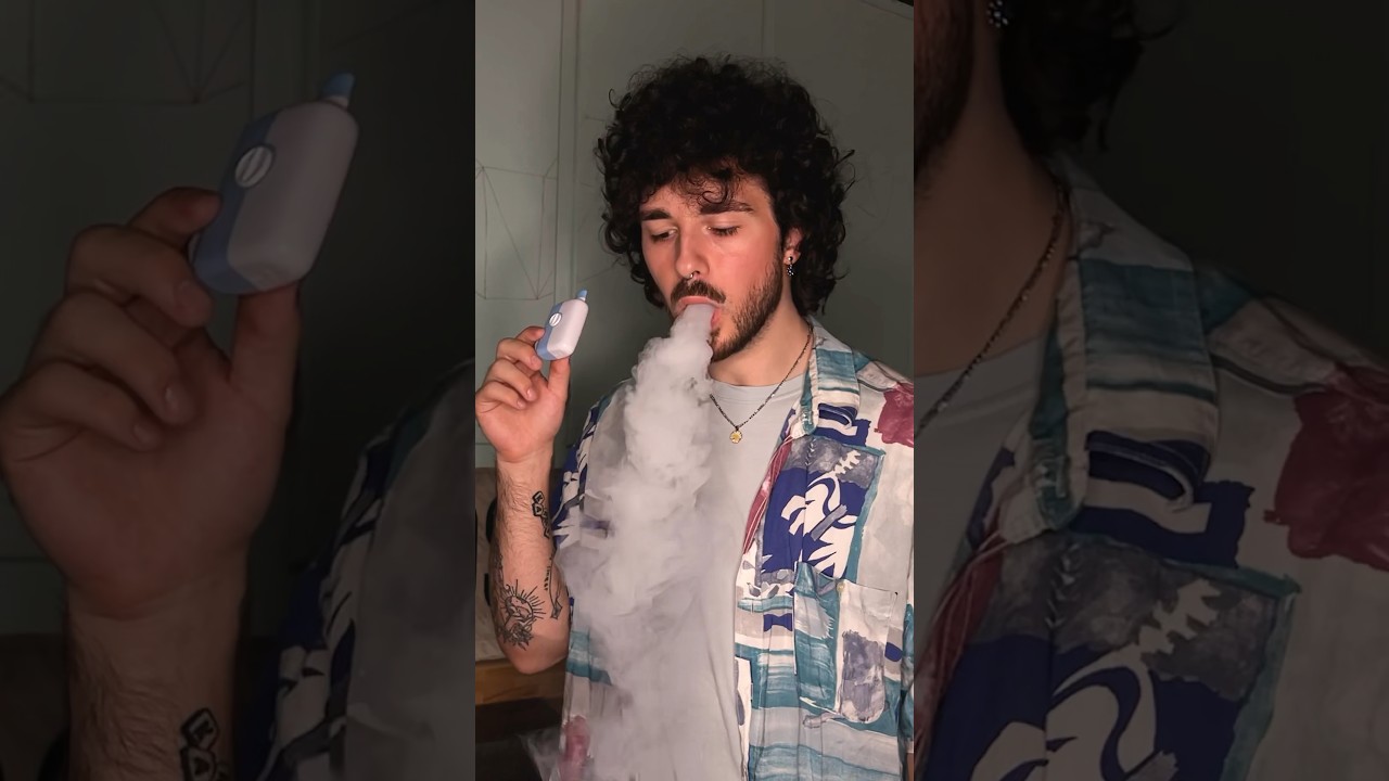 Mr Fog Switch Disposable Review 🫐