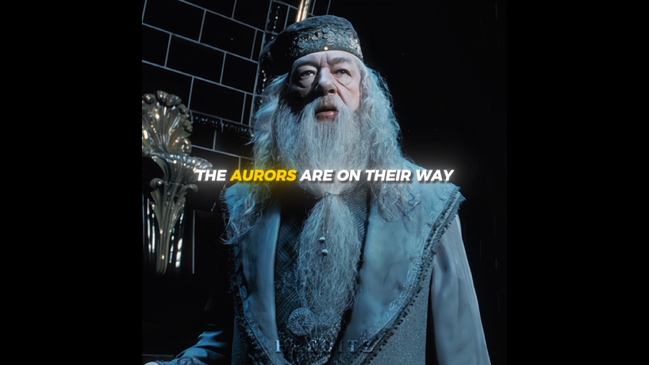 When Dumbledore arrived, things got heated up🔥 #harrypotter