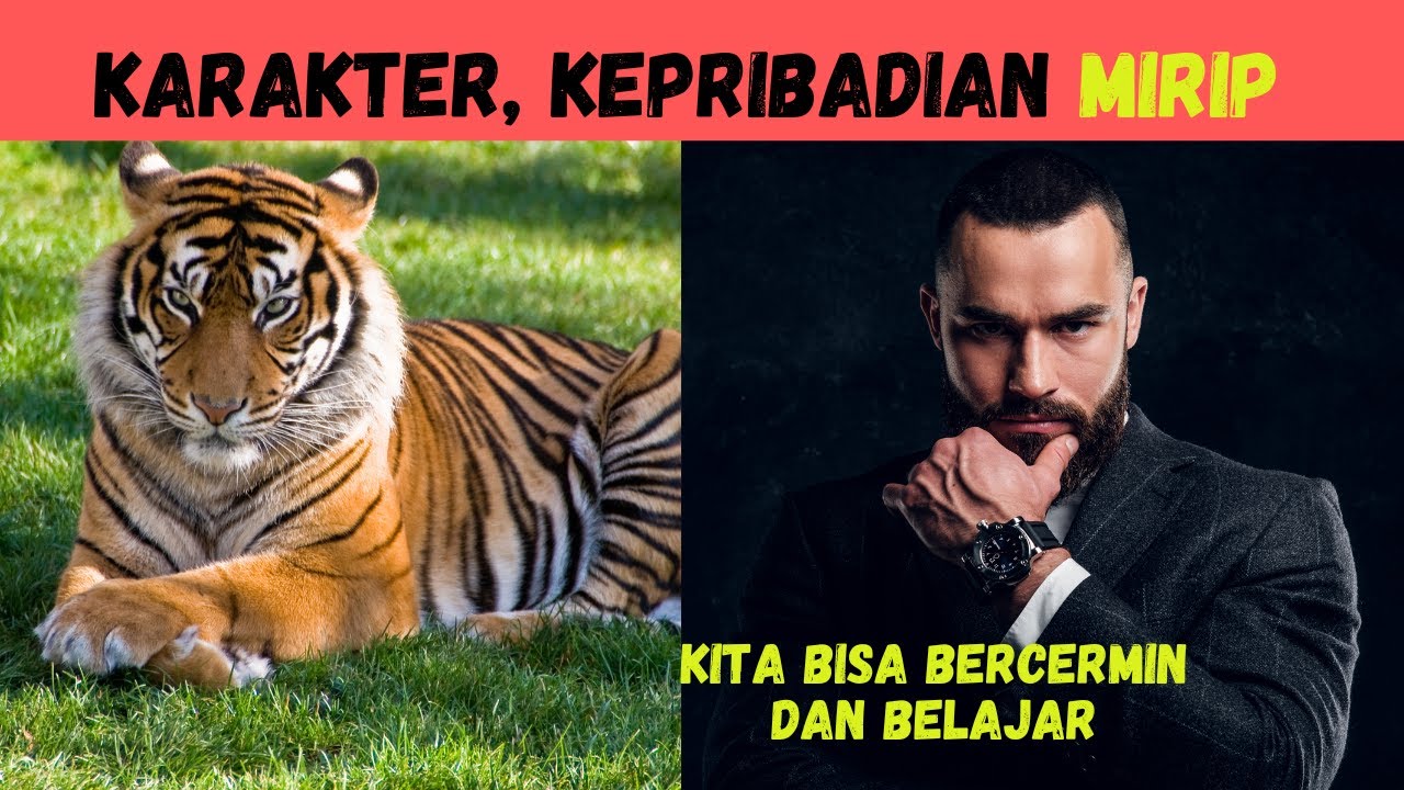 Karakter Hewan menginspirasi, Karakter Mirip Manusia