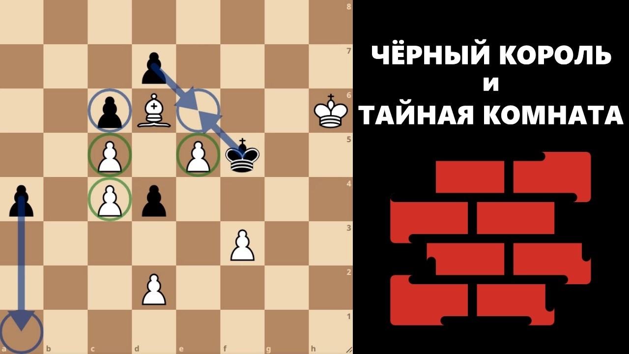 Черный король и Тайная комната! #шахматы #chess #этюды #chesspuzzle #study #endgame
