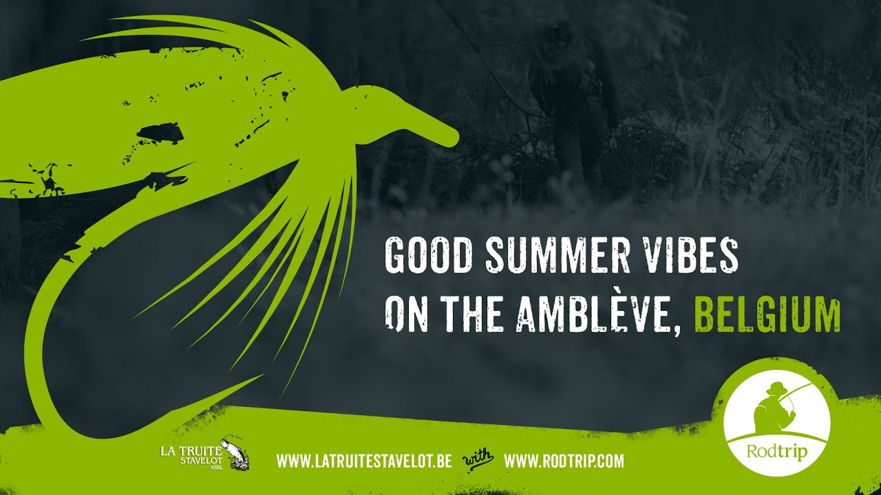 Dry fly fishing on the Amblève in Belgium with Rodtrip