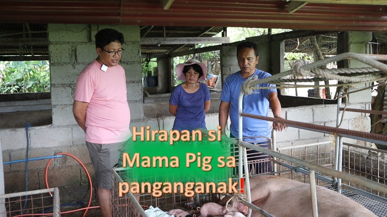 BABUYAN TOUR 2022 (PART TWO): KWENTUHAN WITH CARETAKER HABANG MAY NANGANGANAK NA INAHIN