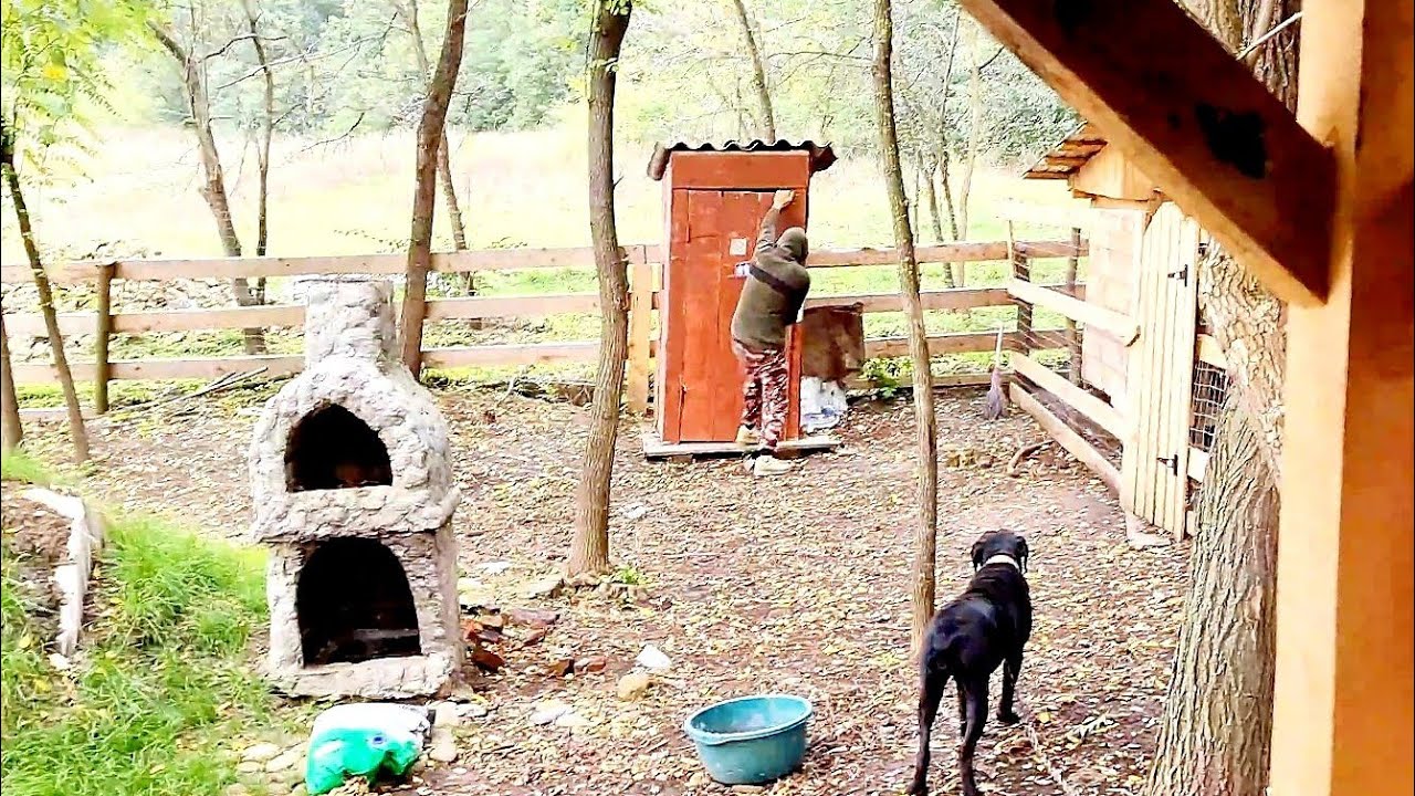 Cornel s a stricat la burta peripeții la casuta din padure !