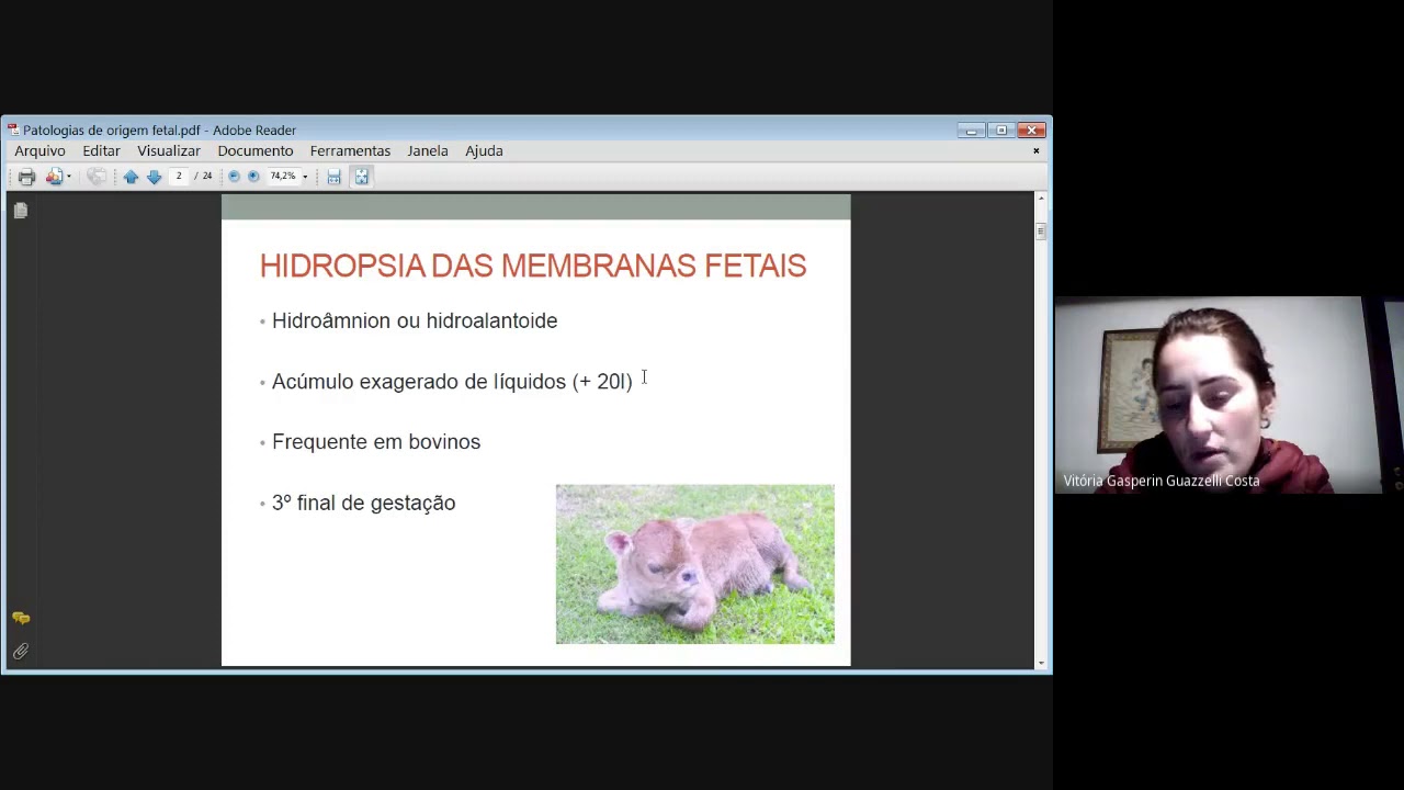 Patologias de origem fetal
