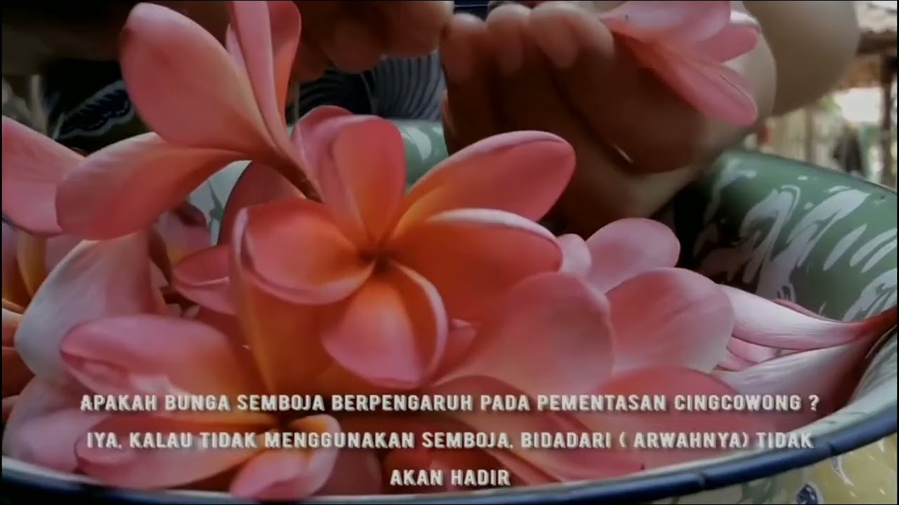 KELOMPOK 5 - (CINGCOWONG)