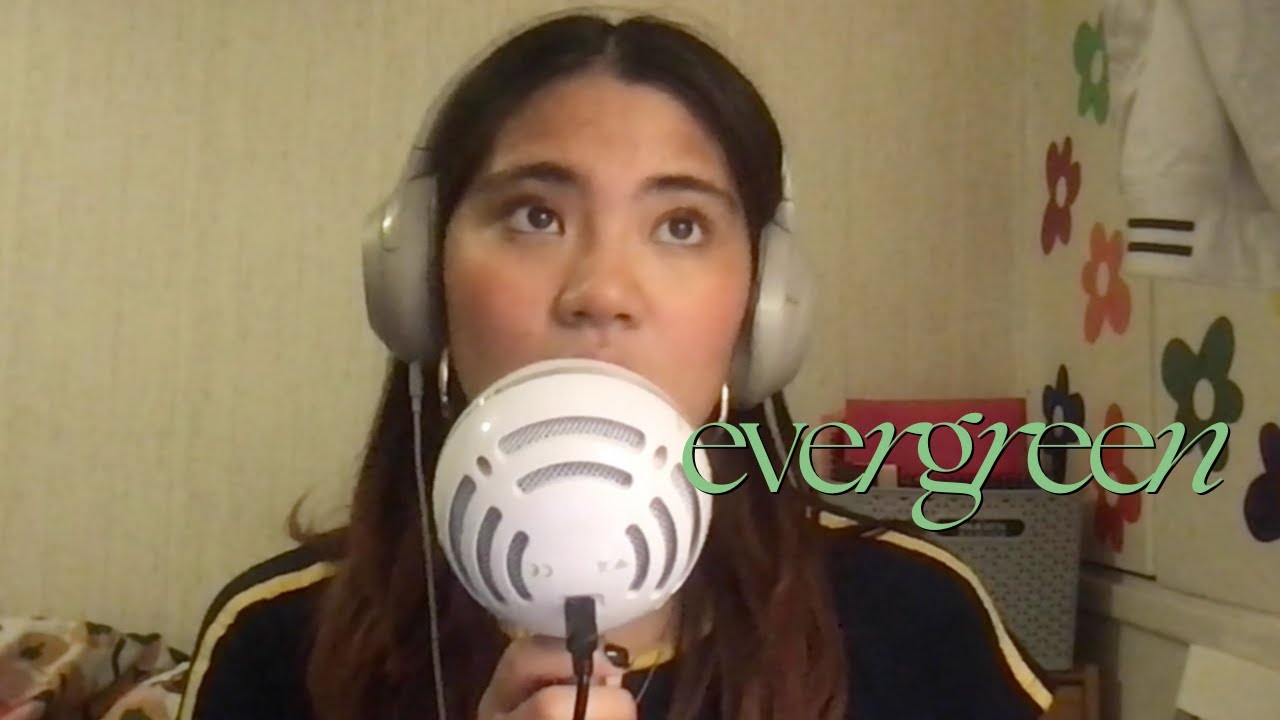 evergreen by omar apollo - cover