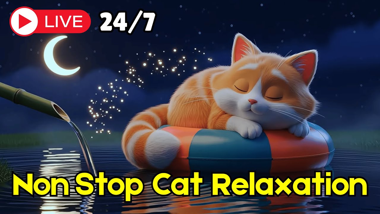 Stress Relief Piano Music for Cats Designed for Deep Relaxation and Rest
