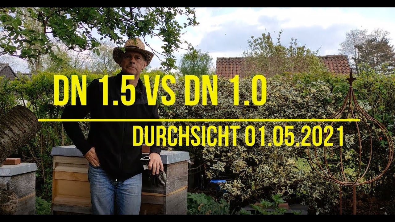 DN 1.5 vs DN 1.0 / Durchsicht 01.05.2021