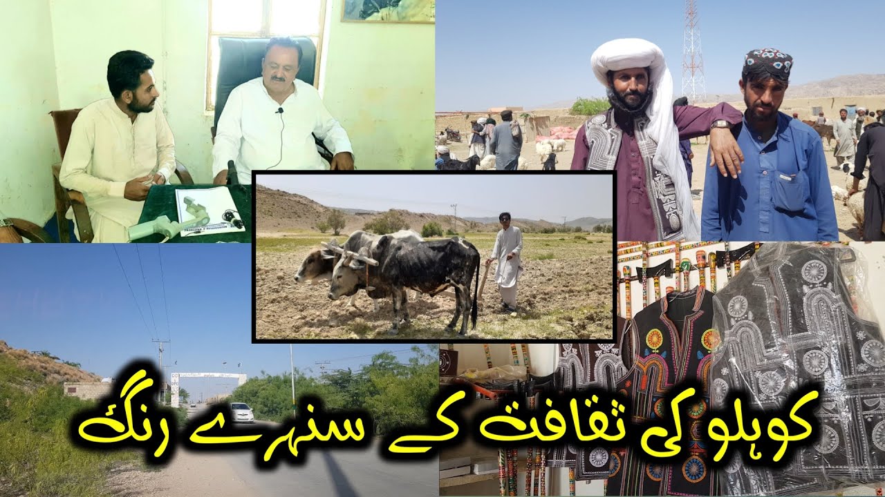 Culture of Kohlu Balochistan || Kohlu || کوہلو بلوچستان کی ثقافت