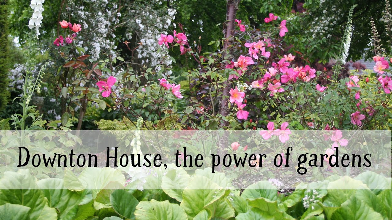 Gardens can provide the perfect respite for carers