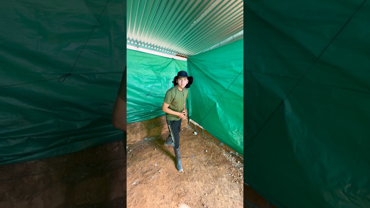 As&iacute; Se Instalan Las Cortinas En Nuestros Galpones  #losbarrerita #campo #vida #tendencia #pollo