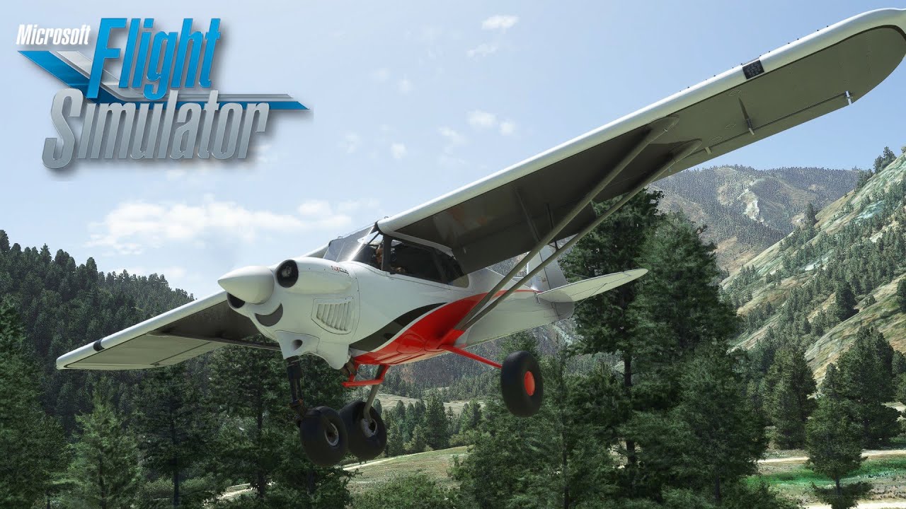 The WILD Cubcrafters MonsterNX - GotGravel - MSFS 2020