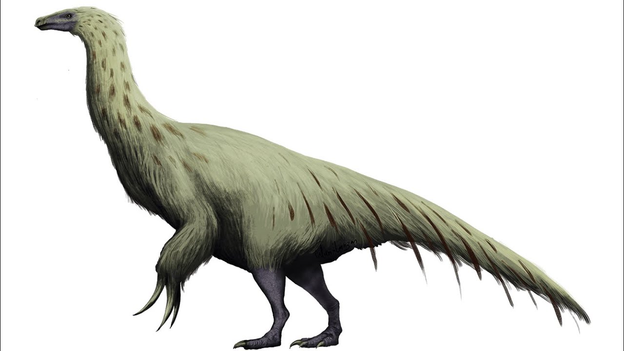 THE MURDER CHICKEN IS ON PATH OF TITANS