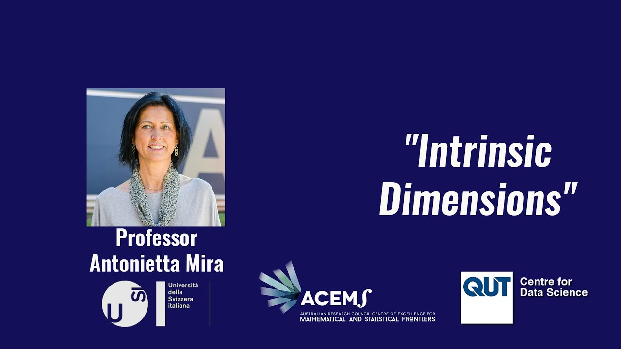 Intrinsic Dimensions