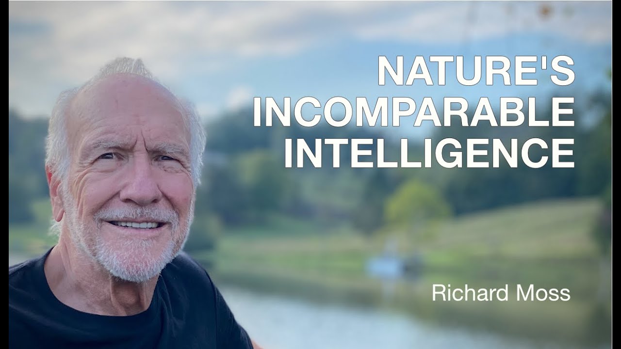 Nature's Incomparable Intelligence.