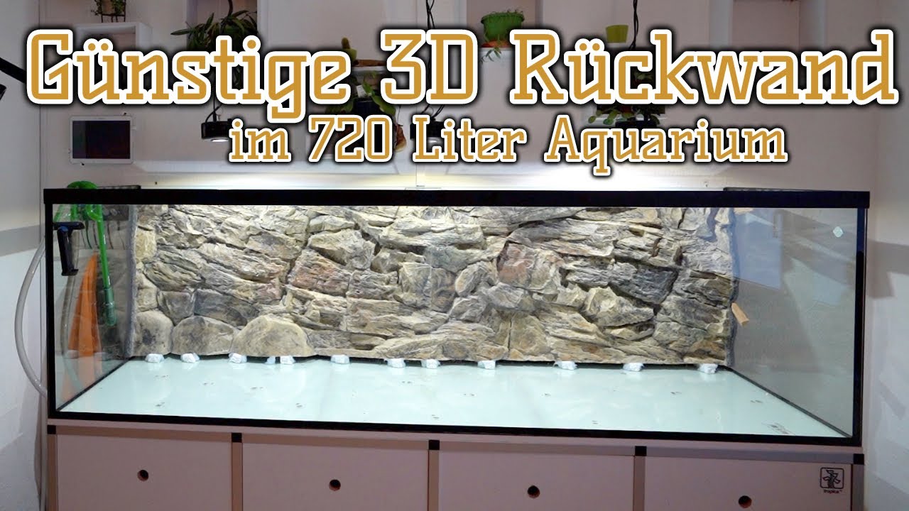 Günstige 3D Struktur-Rückwand im Test | Aus Asien wird Amazonien | Teil 1