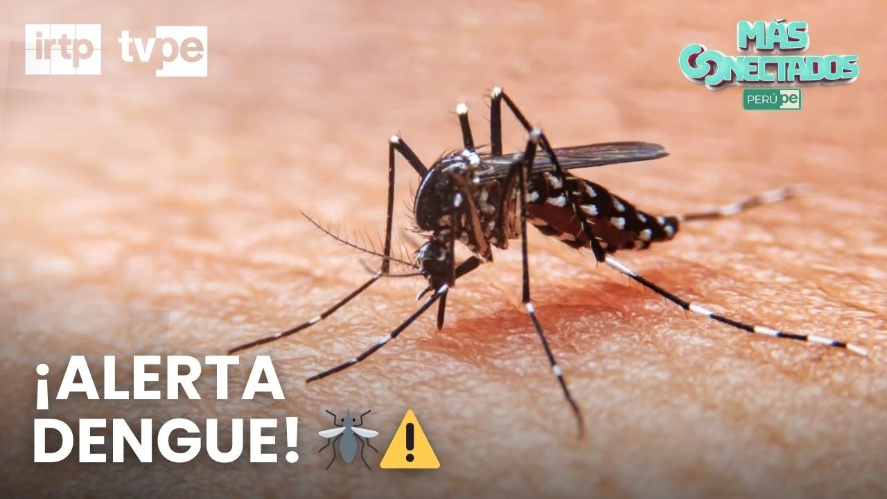 Recomendaciones claves para prevenir el dengue | “Más conectados”