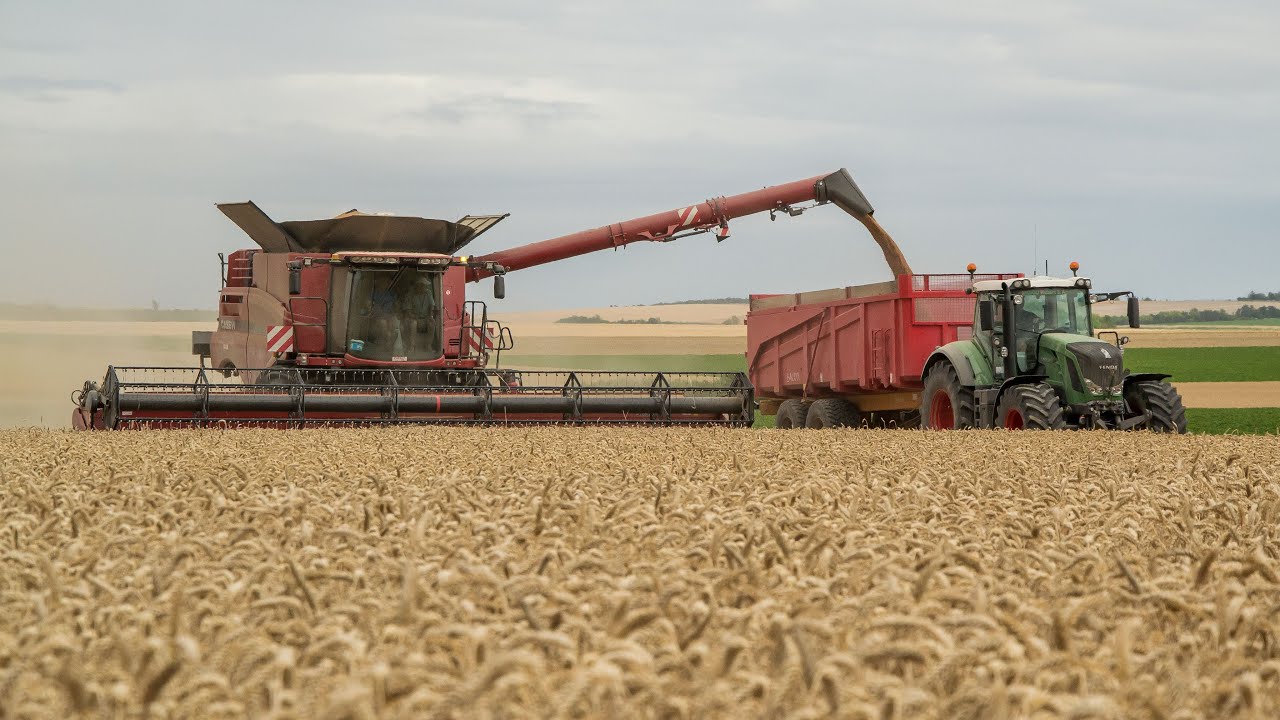 Axial 9240 à la moisson du blé - Stockage à la ferme