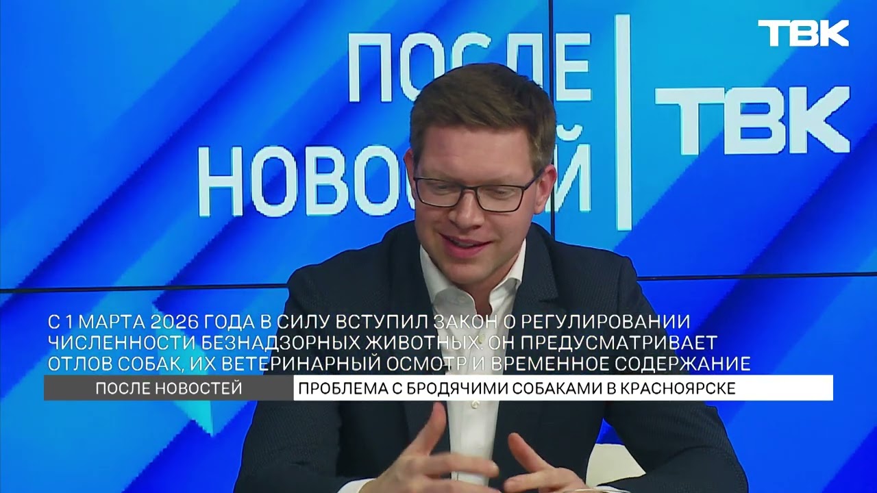 Новый закон об эвтаназии бродячих животных / «После Новостей»