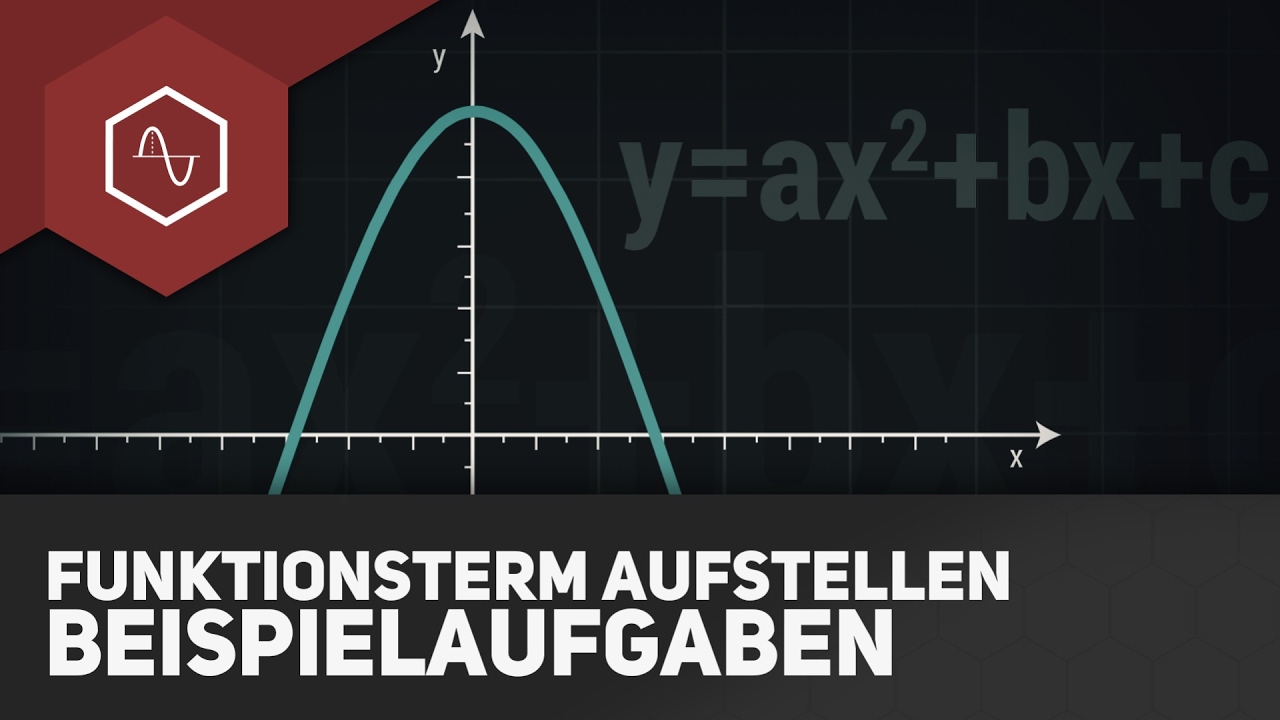 Funktionsterm aufstellen im ABI - Beispielaufgaben
