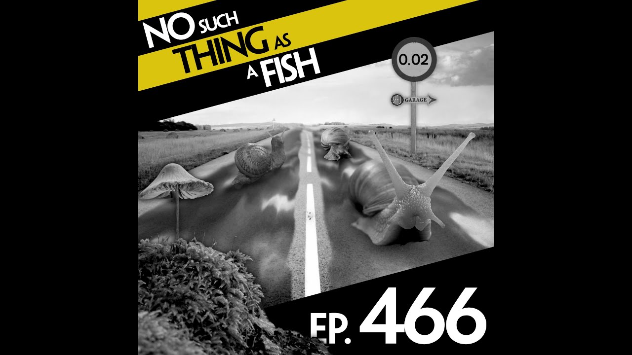 Ep 466: No Such Thing As Political Moss