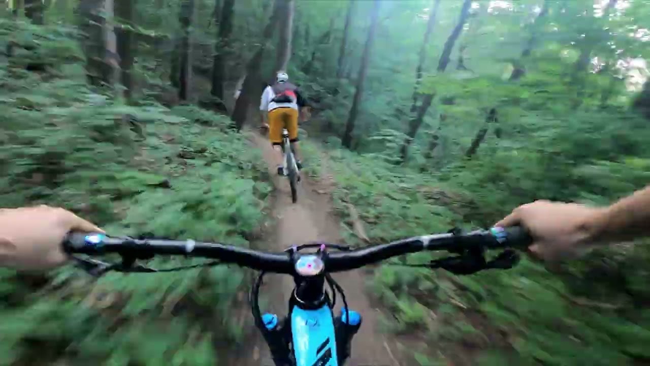 Divotraily Trenčín - Singletrail Brezina - časť od zvodidiel