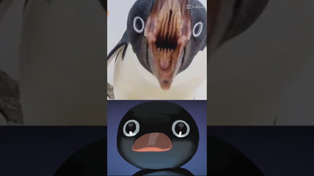 penguin are cute but the mouth is problem