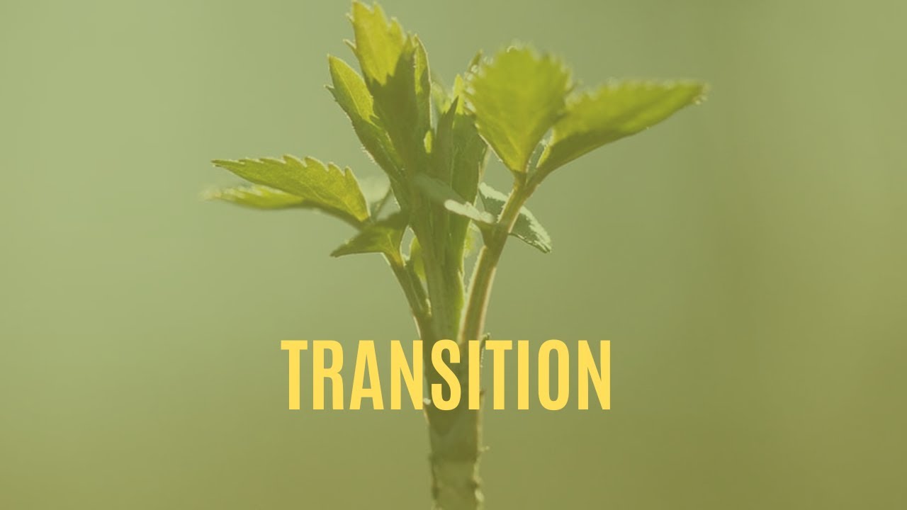 Transition