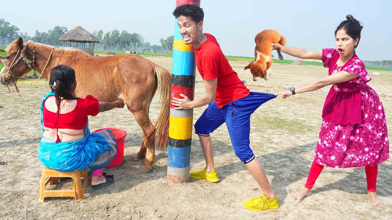 Top Trending Very Special Comedy Video 😂Amazing Funny Video 2026 Episode 260 By Our Fun Tv