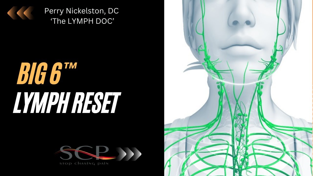 Big 6 Lymph Reset