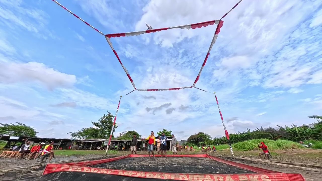Lapak VGH 1 Bekasi, 21 February 2026 Hadiah 7Juta - Lomba Merpati Kolongan #merpati #merpatikolong