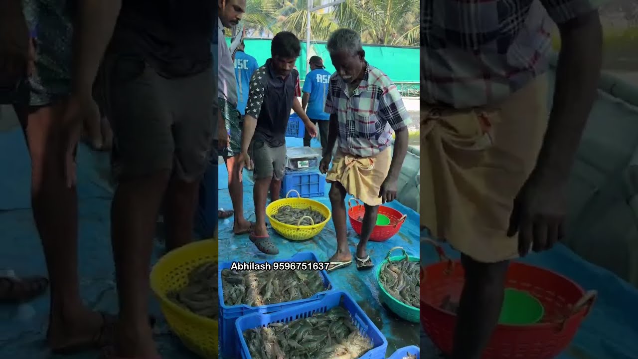 ഒരുദിവസം കൊണ്ട്, ലക്ഷങ്ങൾ വരുമാനമുള്ള കൃഷി പഠിക്കാം 