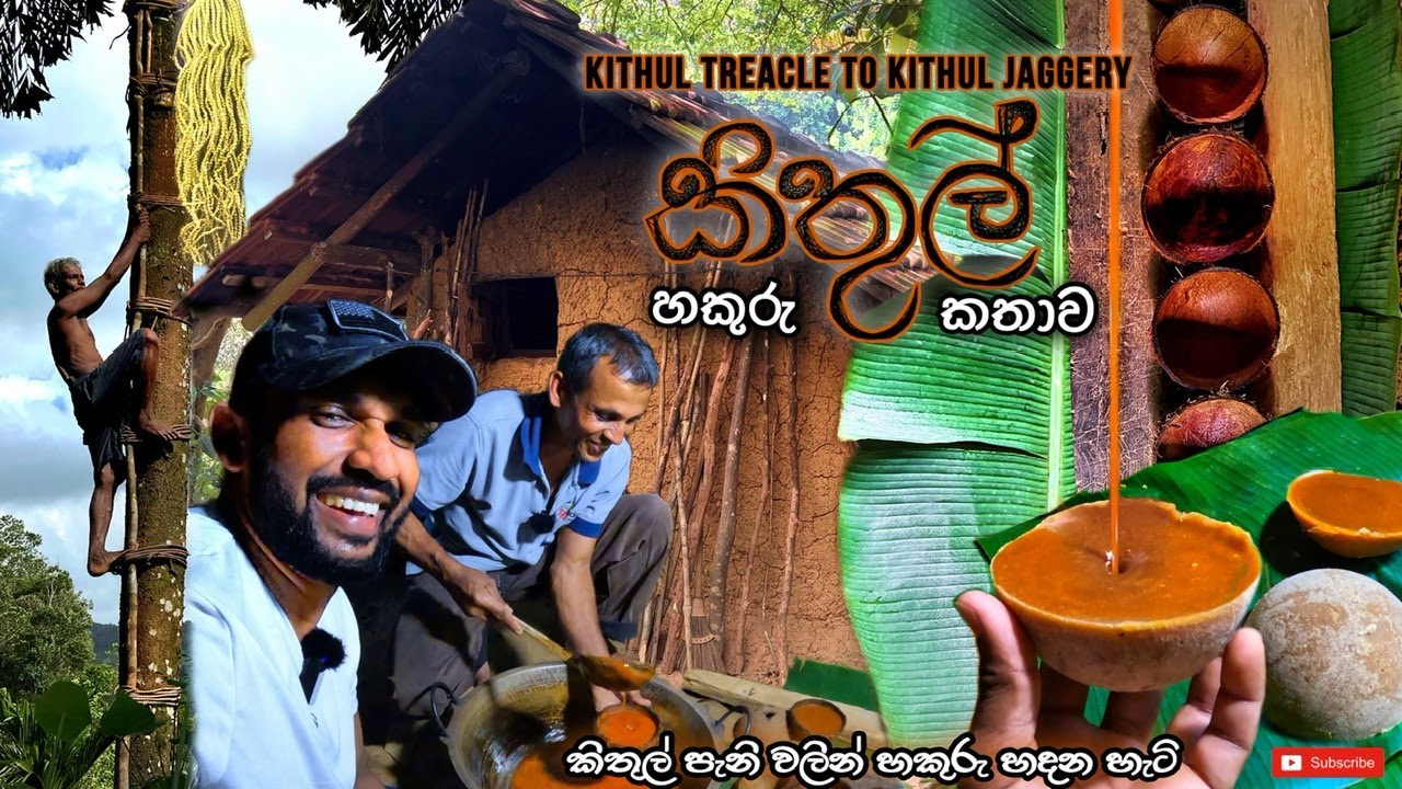 Kithul Treacle to Kithul Jaggery | කිතුල් පැණි වලින් හකුරු හදන විදිහ හොයාගෙන කිතුල් වාඩියකට | 4K