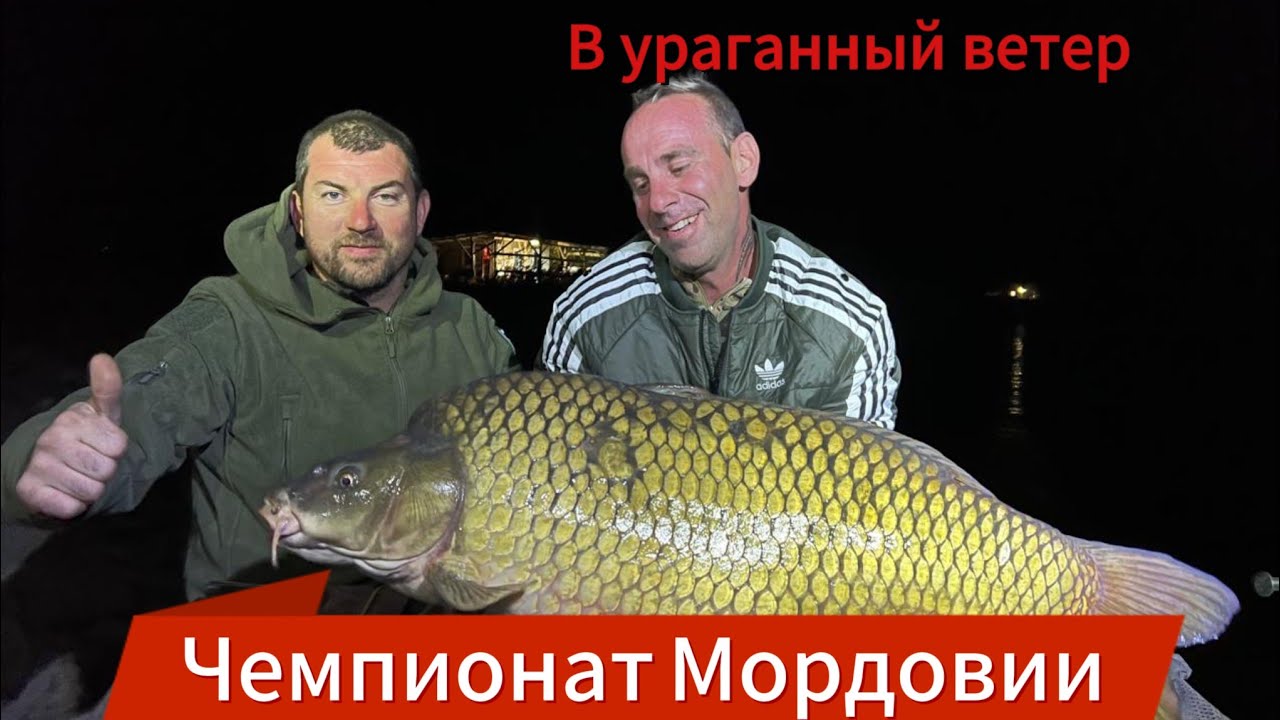 Запоздалое видео с Чемпионата Мордовии.На котором мы заняли 2 🏆место