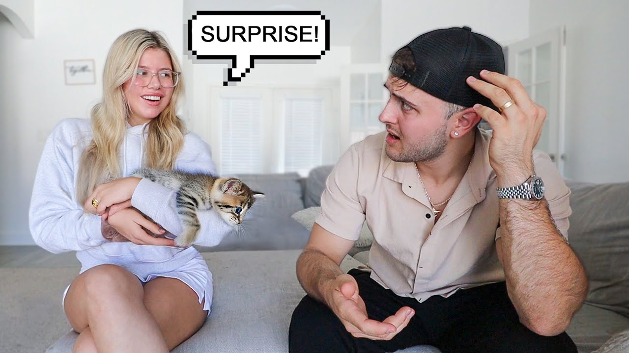 SURPRISING MY HUSBAND WITH A NEW CAT FOR OUR ANNIVERSARY..