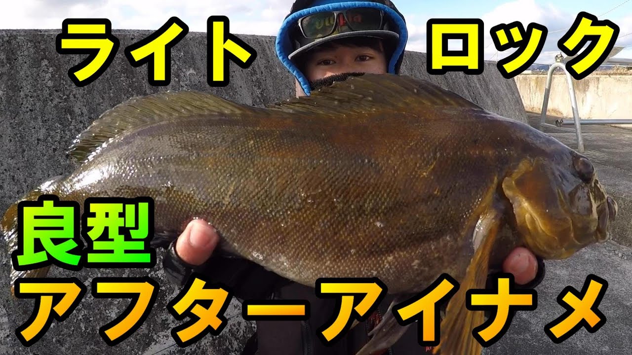 【アイナメワーム】今年絶不調のアフターアイナメをAPIA熊谷さんがライトロックで海藻帯から引きずり出す！～堤防アイナメ～