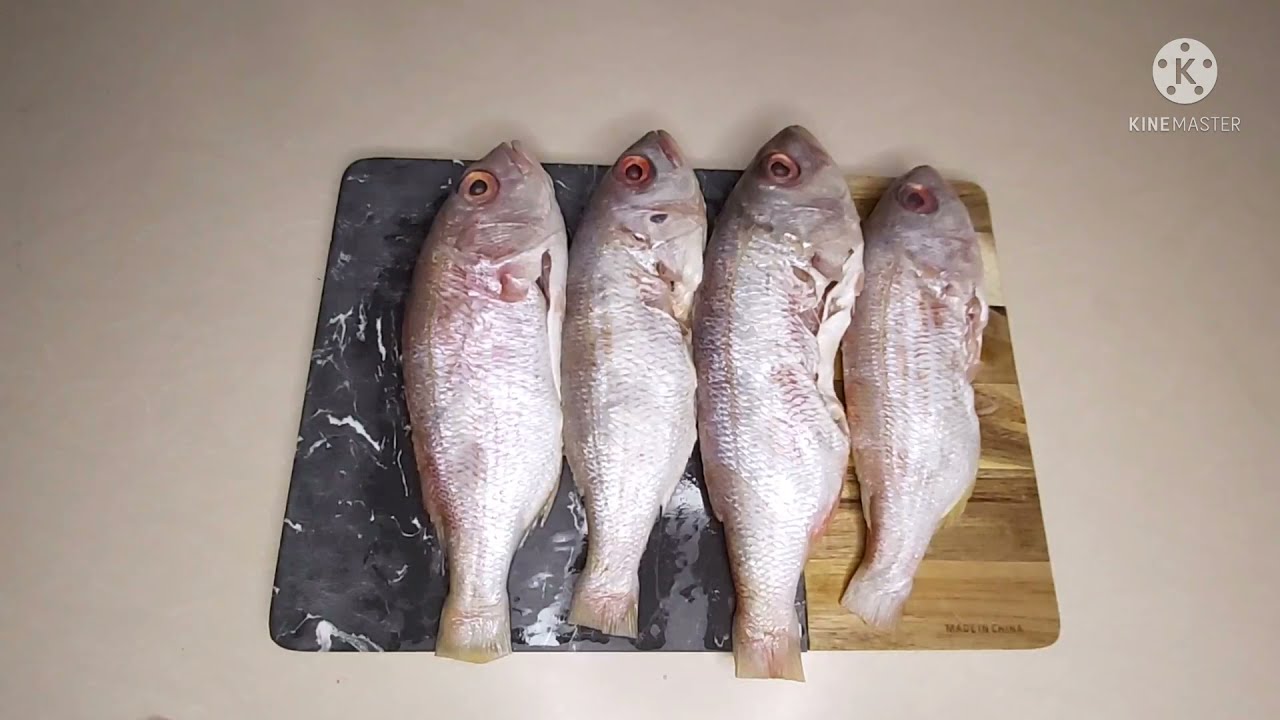 Simple but Delicious and Perfectly Grilled Silver Fish || Convection-Oven Grill
