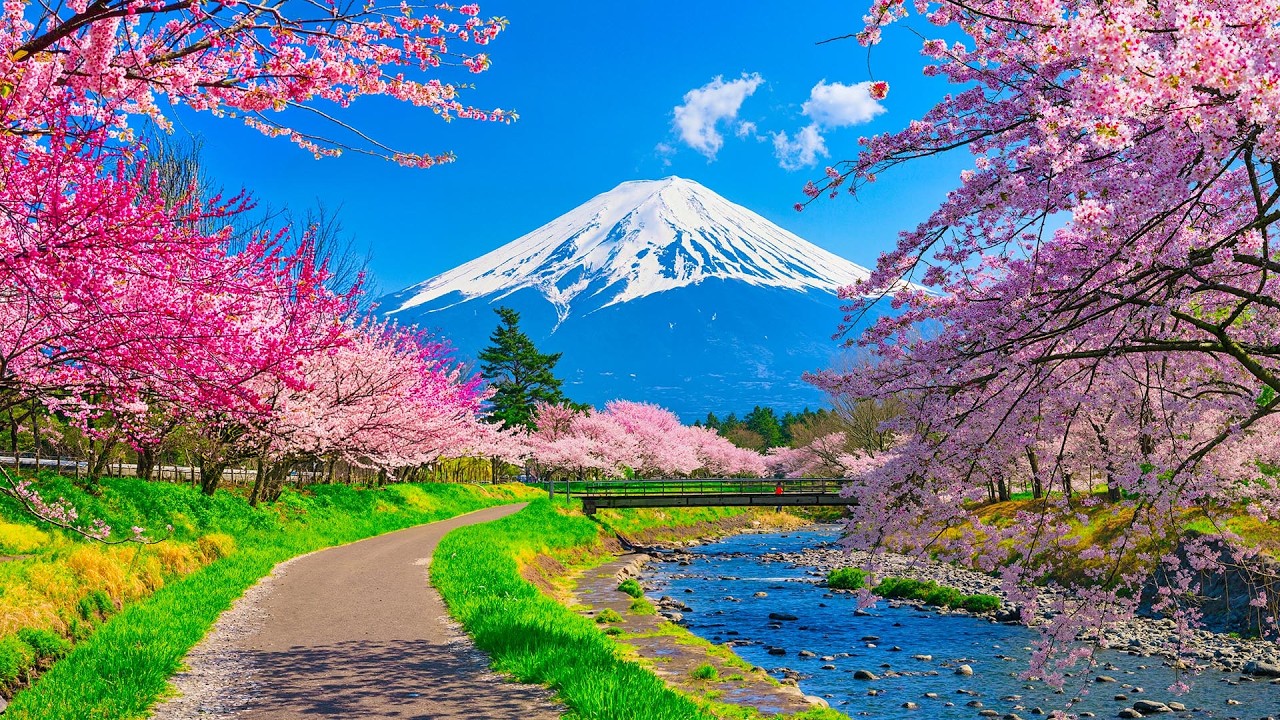 послушайте эту музыку и вам станет легче🌿Нежная музыка,успокаивает нервную